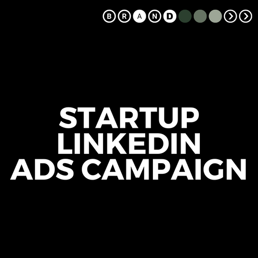 Startup LinkedIn Ads Campaign